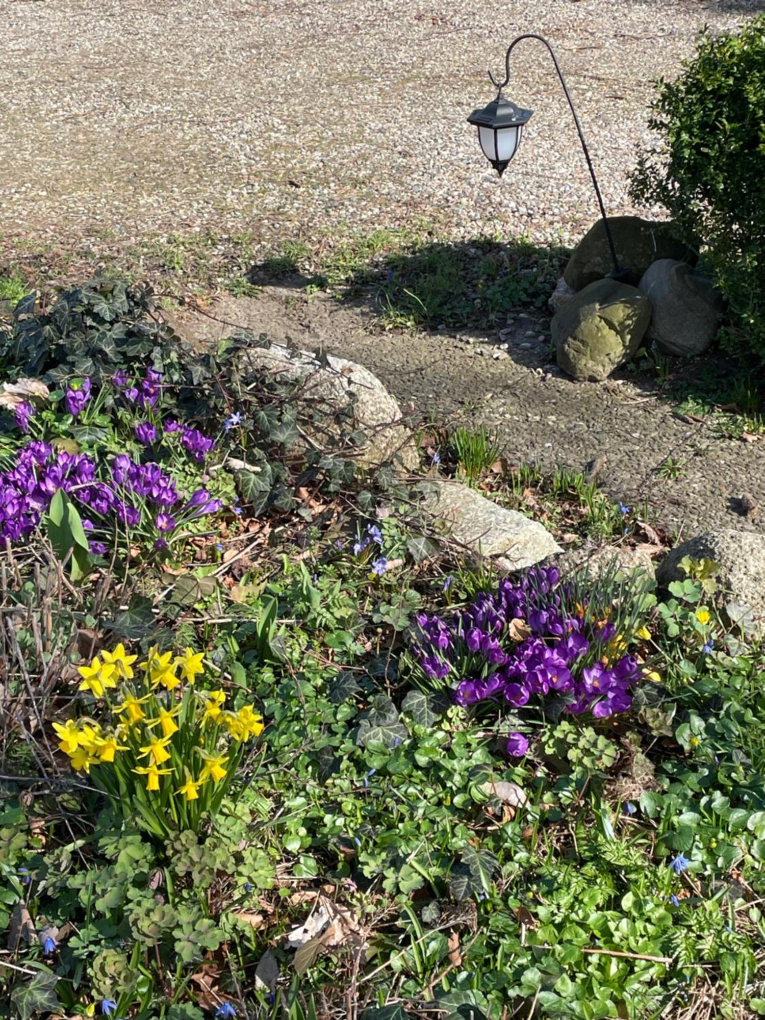 Beltblick Fehmarn Exterior foto