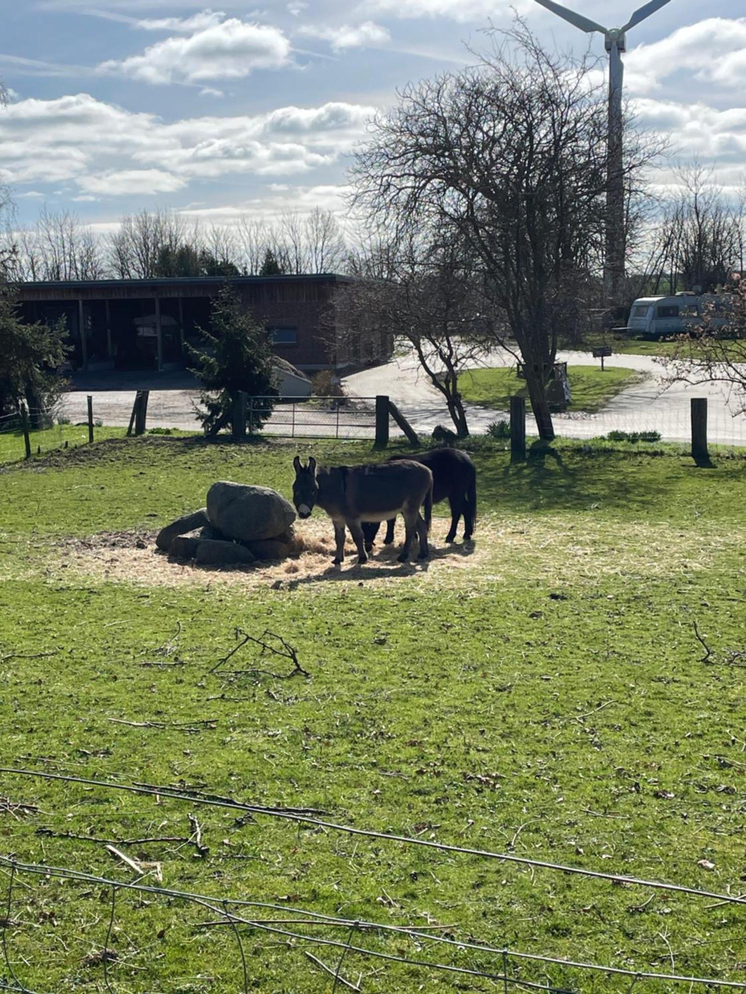 Beltblick Fehmarn Exterior foto