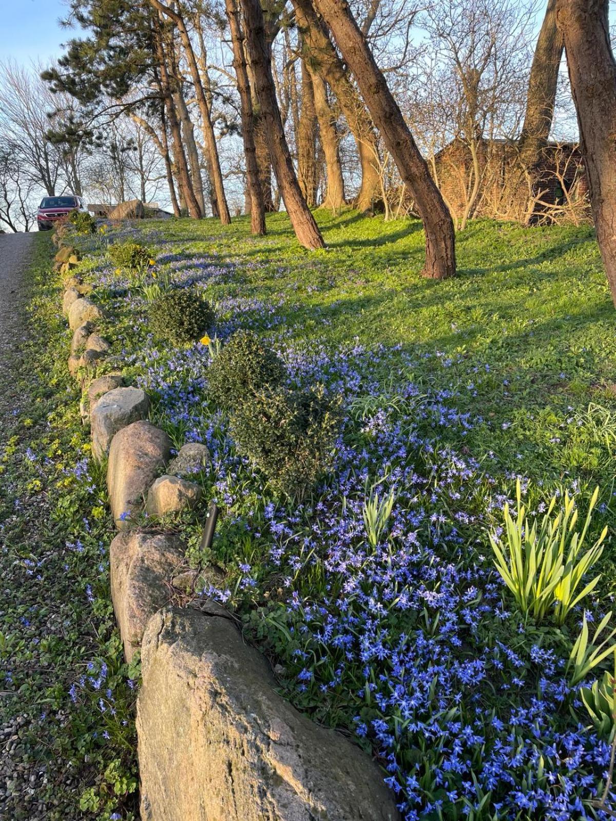 Beltblick Fehmarn Exterior foto