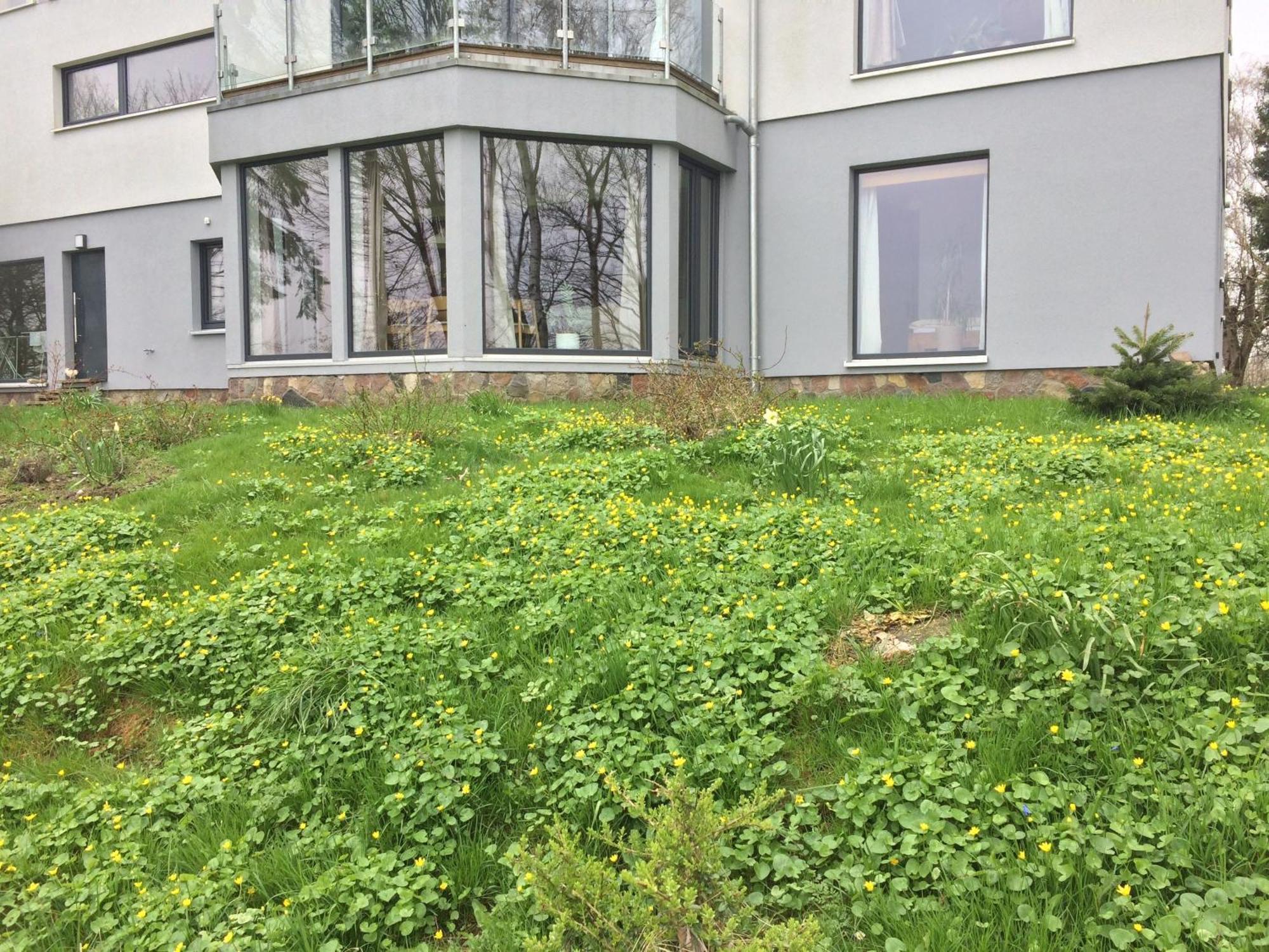Beltblick Fehmarn Exterior foto