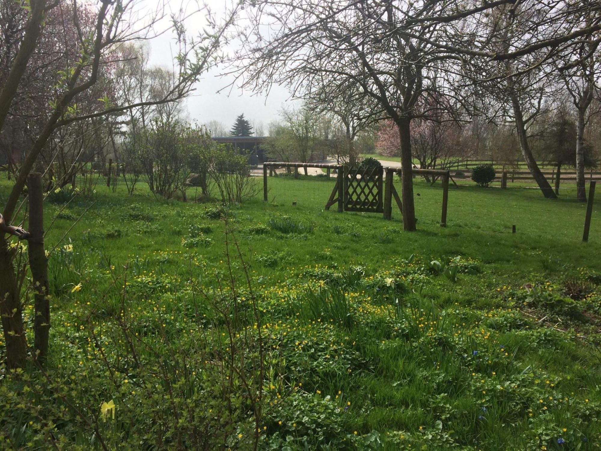 Beltblick Fehmarn Exterior foto